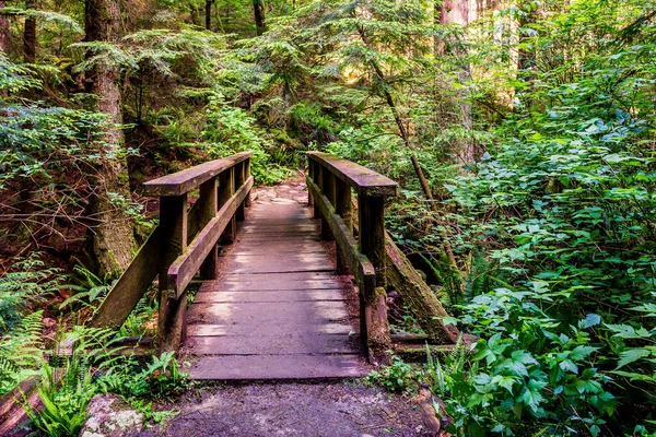 Houten brug in bospark in Brits columbia canada. — Stockfoto