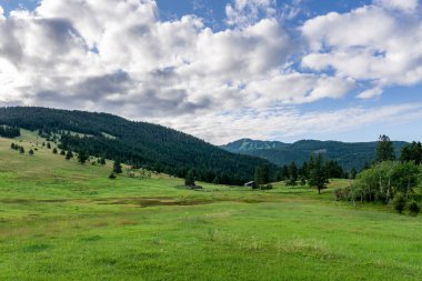 Britanya Kolumbiyası Kanada 'da yeşil orman ve dağlar bulutlu