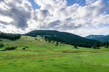 Britanya Kolumbiyası Kanada 'da yeşil orman ve dağlar bulutlu