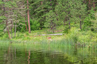 Paul Gölü manzaralı yeşil ormanlı.