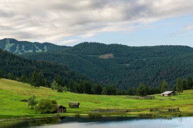 İngiliz Kolombiyası 'nın yanı sıra Kanada' nın yuvarlanan tepeler arasında bataklık çayırında gölet.