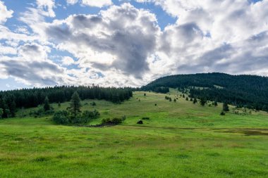 Britanya Kolumbiyası Kanada 'da yeşil orman ve dağlar bulutlu