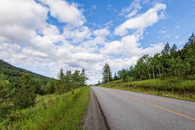 Dağlara giden yolun yanındaki çayır bulutlu gökyüzünün altında Britanya Kolombiyası Kanada.