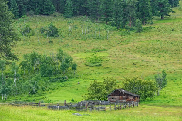 緑の森の中の曇りの夏の日の農場とブリティッシュコロンビア州の山々カナダ — ストック写真