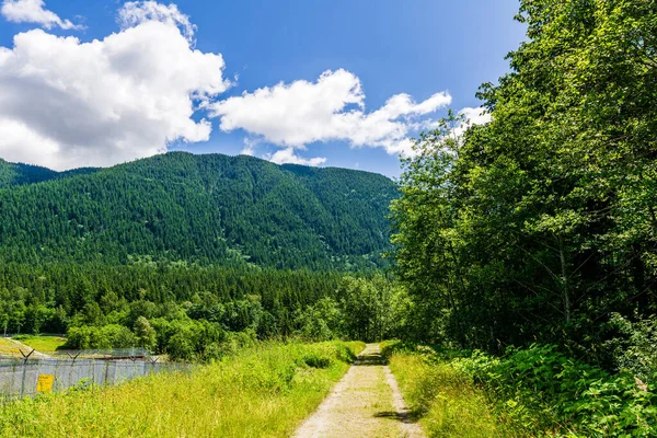 Empty forest road in Golden Ears Provincial Park British Columbia Canada