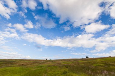 Britanya Kolombiyası 'nda bulutlu mavi gökyüzünün altında yemyeşil çimlerle kaplı bir tepe..