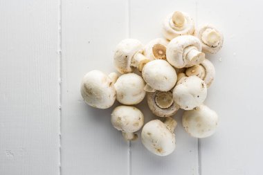 Beyaz tahta üzerinde taze mantar şampiyonu.