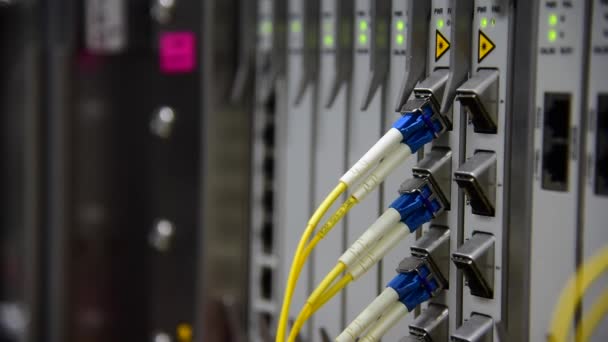 网络电信光纤电缆补丁线连接和闪烁的领先状态在数据中心 — 图库视频影像