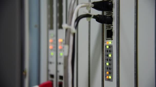 Redes Cable Parche Fibra Óptica Telecomunicaciones Conectado Parpadeando Del Estado — Vídeos de Stock