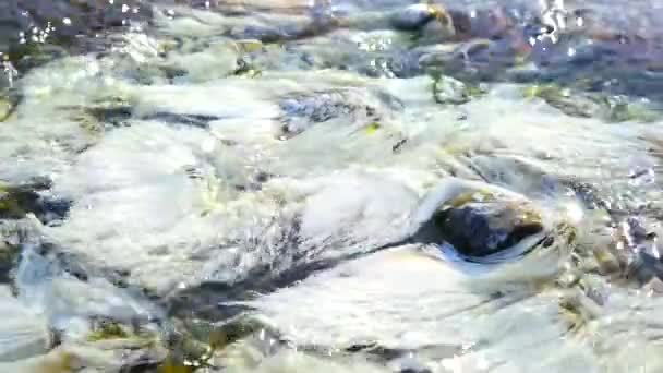 Bactérias Chloroflexus Aurantiacus Fontes Termais Parque Nacional Chae Son Lampang — Vídeo de Stock