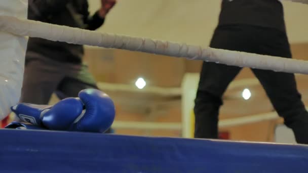 Тренер проводить тренувальну битву з жінкою-кікбоксером на рингу — стокове відео
