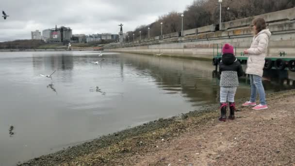 Mãe e filha felizes e bonitas estão alimentando gaivotas na praia na margem do rio — Vídeo de Stock