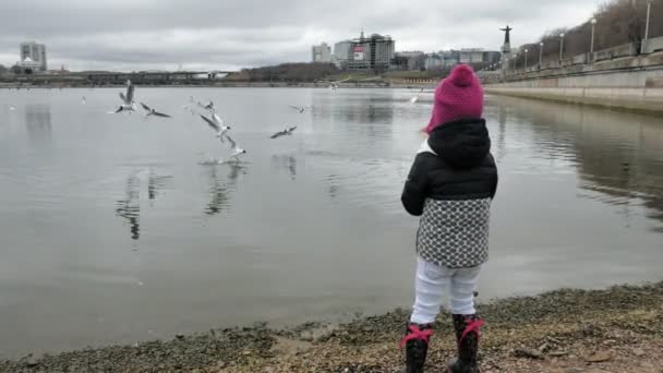 Szczęśliwe i piękne matka i córka są karmienia mewy na plaży, nad brzegiem rzeki — Wideo stockowe