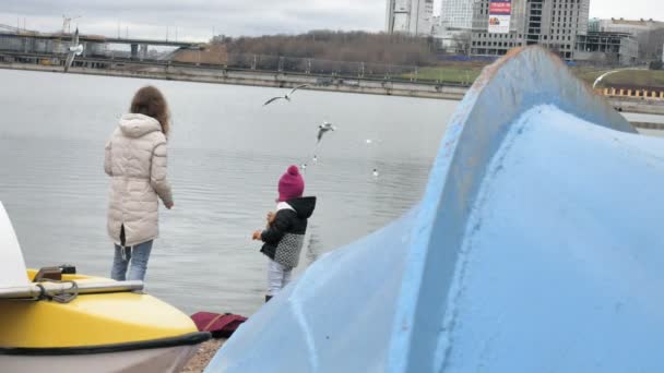 Mãe e filha felizes e bonitas estão alimentando gaivotas na praia na margem do rio — Vídeo de Stock