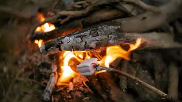 Lycklig familj av turister på en resa. Mamma och barn stek marshmallows på elden nära tältet — Stockvideo