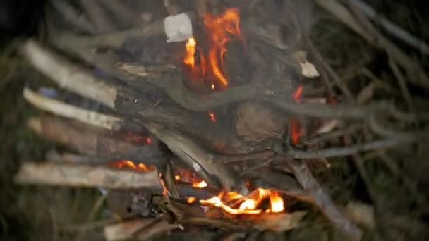 Familia feliz de turistas en un viaje. Mamá y los niños fríen malvaviscos en el fuego cerca de la tienda — Vídeos de Stock