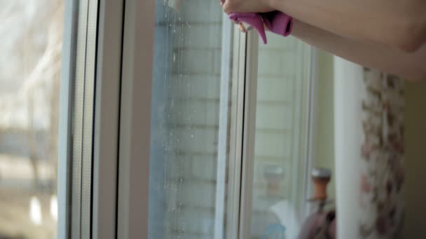 Attractive girl washes windows at home. To clean up the house. — Stock Video