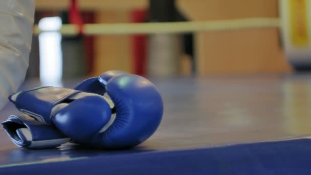 El entrenador lleva a cabo una batalla de entrenamiento con una kickboxer femenina en el ring — Vídeos de Stock