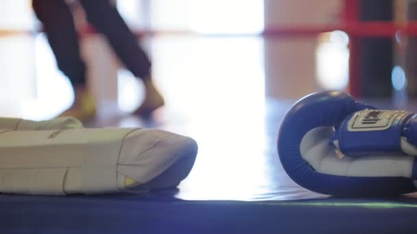 Bir kadın kick boks halka ile bir eğitim savaş eğitmen yürütmektedir — Stok video