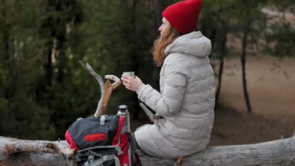 An attractive young woman in a red hat walks through the forest in early spring with a large tourist backpack, drinks tea from a thermos — Stock Video