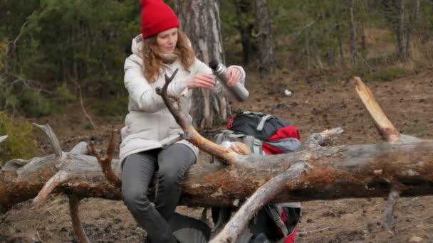 An attractive young woman in a red hat walks through the forest in early spring with a large tourist backpack, drinks tea from a thermos — Stock Video