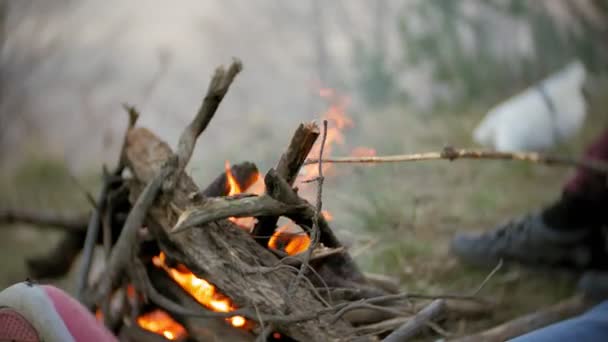 Família feliz de turistas em uma viagem. Mãe e crianças fritam marshmallows no fogo perto da tenda — Vídeo de Stock