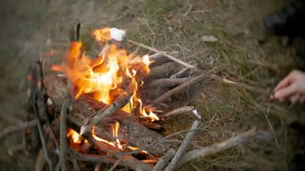 Família feliz de turistas em uma viagem. Mãe e crianças fritam marshmallows no fogo perto da tenda — Vídeo de Stock