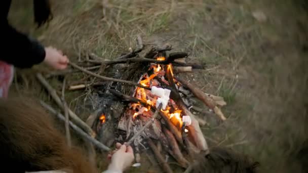 Lycklig familj av turister på en resa. Mamma och barn stek marshmallows på elden nära tältet — Stockvideo