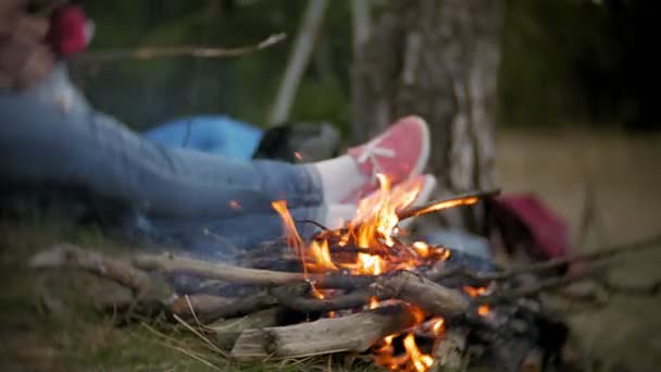 Glückliche Familie von Touristen auf einer Reise. Mutter und Kinder braten Marshmallows am Feuer in der Nähe des Zeltes — Stockvideo