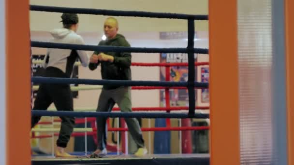 O treinador conduz uma batalha de treinamento com uma mulher kickboxer no ringue — Vídeo de Stock