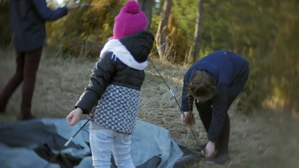 Kinder sammeln ein Touristenzelt auf der Natur im Wald — Stockvideo