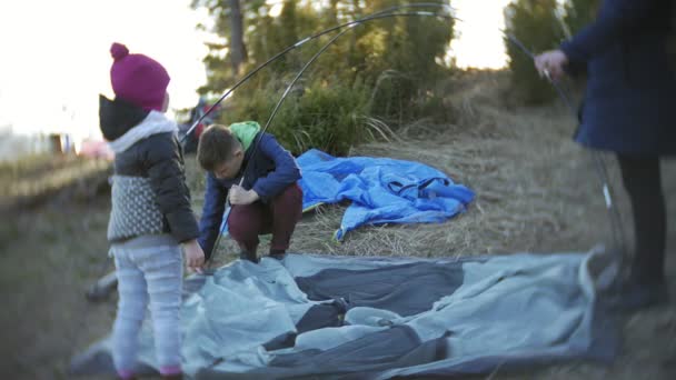 Kinderen verzamelen een toeristische tent over de natuur in het bos — Stockvideo