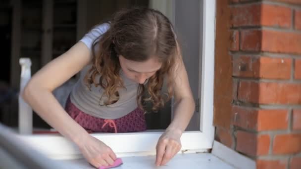 魅力的な女の子は、窓を家庭で洗います。家の中をきれいにする. — ストック動画