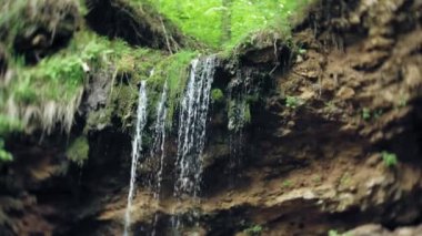 Şelale yeşil orman nehir manzarası