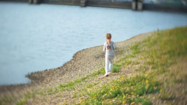 어린 소녀는 호수에 먹이 백조와 오리 새 겨울에 먹이 — 비디오