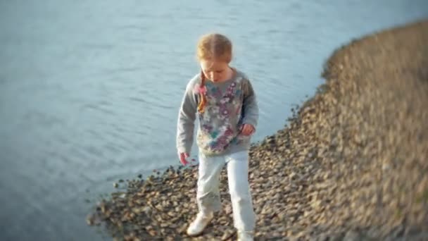 Una bambina che si nutre di un lago cigni e anatre Uccelli che si nutrono in inverno — Video Stock