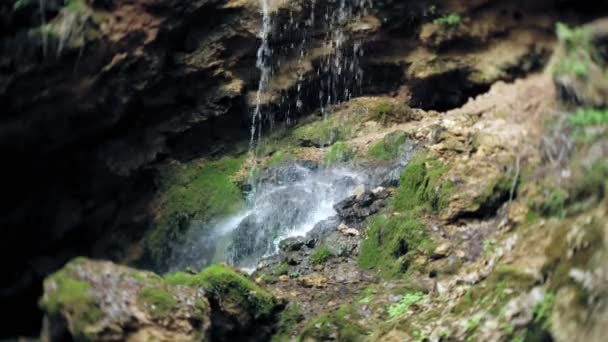 Vodopád zelený les řeka potok krajina — Stock video