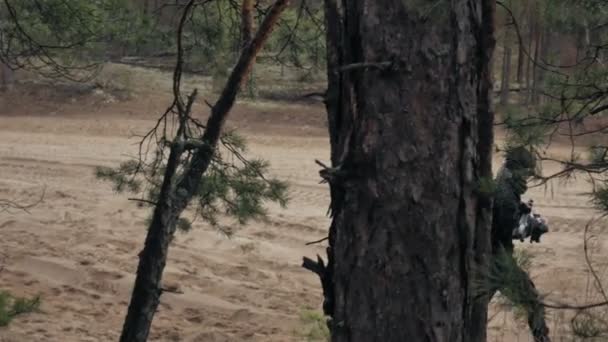 Soldados en camuflaje con armas de combate se abren camino fuera del bosque, con el objetivo de capturarlo, el concepto militar — Vídeo de stock