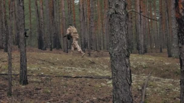 Солдати в камуфляжі з бойовою зброєю виходять за межі лісу з метою захоплення його, військова концепція — стокове відео