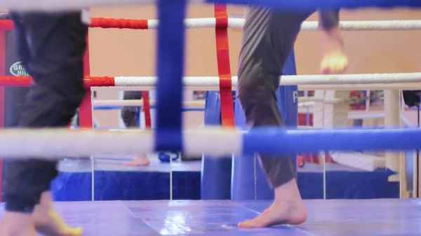 El entrenador lleva a cabo una batalla de entrenamiento con una kickboxer femenina en el ring —  Fotos de Stock