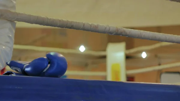 El entrenador lleva a cabo una batalla de entrenamiento con una kickboxer femenina en el ring — Foto de Stock