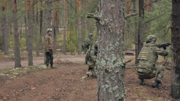 Soldater i kamouflage med bekämpa vapen är eldas i skydd av skogen, militära konceptet — Stockvideo