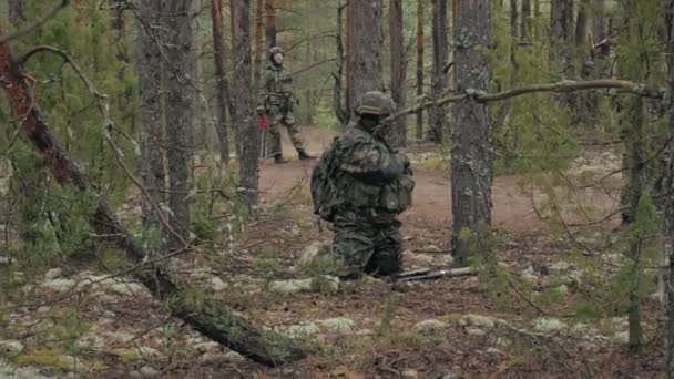Soldater i kamouflage med bekämpa vapen är eldas i skydd av skogen, militära konceptet — Stockvideo