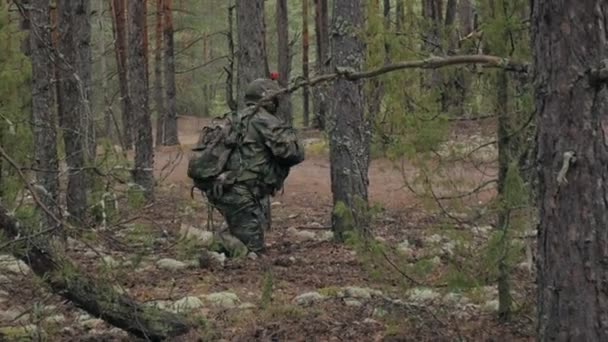 Soldaten in camouflage met bestrijding wapens zijn ontslagen in de beschutting van het bos, het militaire concept — Stockvideo