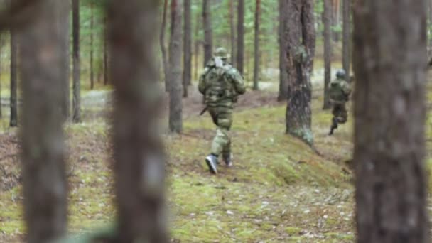 Soldados en camuflaje con armas de combate se abren camino fuera del bosque, con el objetivo de capturarlo, el concepto militar — Vídeo de stock