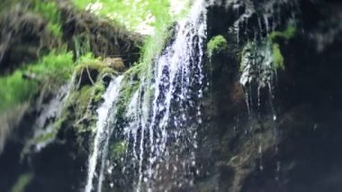 Şelale yeşil orman nehir manzarası