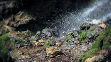 Şelale yeşil orman nehir manzarası