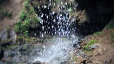 Şelale yeşil orman nehir manzarası