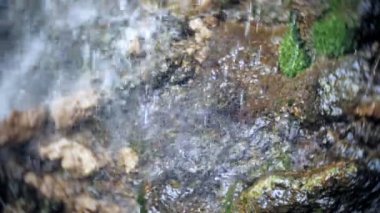 Şelale yeşil orman nehir manzarası