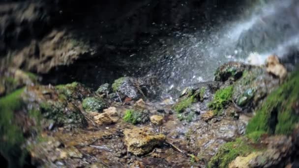 Vodopád zelený les řeka potok krajina — Stock video